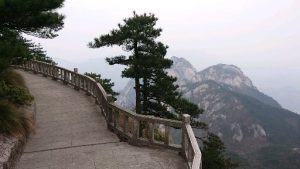 Tianzhushan - Anhui - China