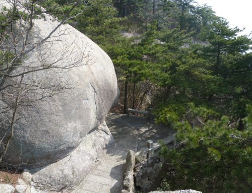 C.G. Jung – Das Böse und der Weg zum Licht